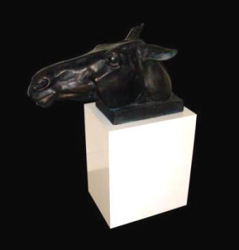 horse_3144.jpg