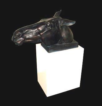 horse_5719.jpg