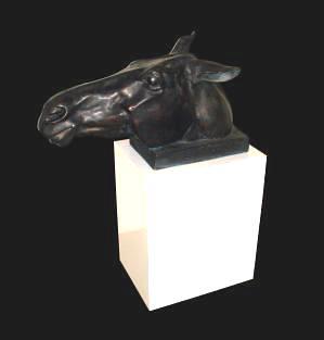 horse_7142.jpg